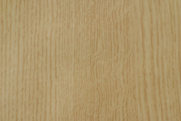 TP 2088 C